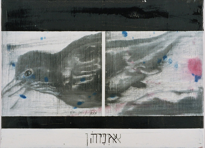 מיכל נאמן